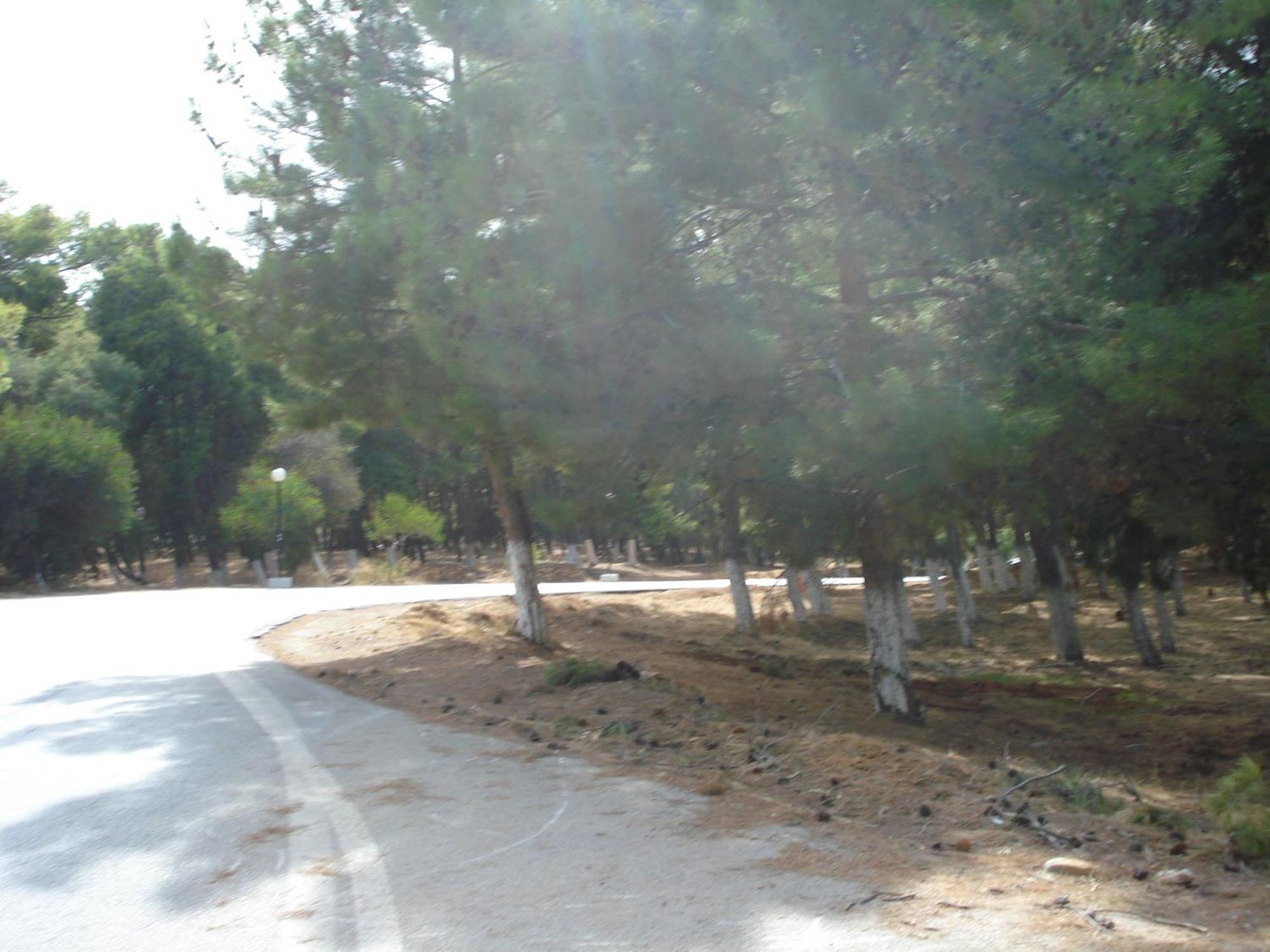 Zinovia Daire Kato Daratso Oda fotoğraf