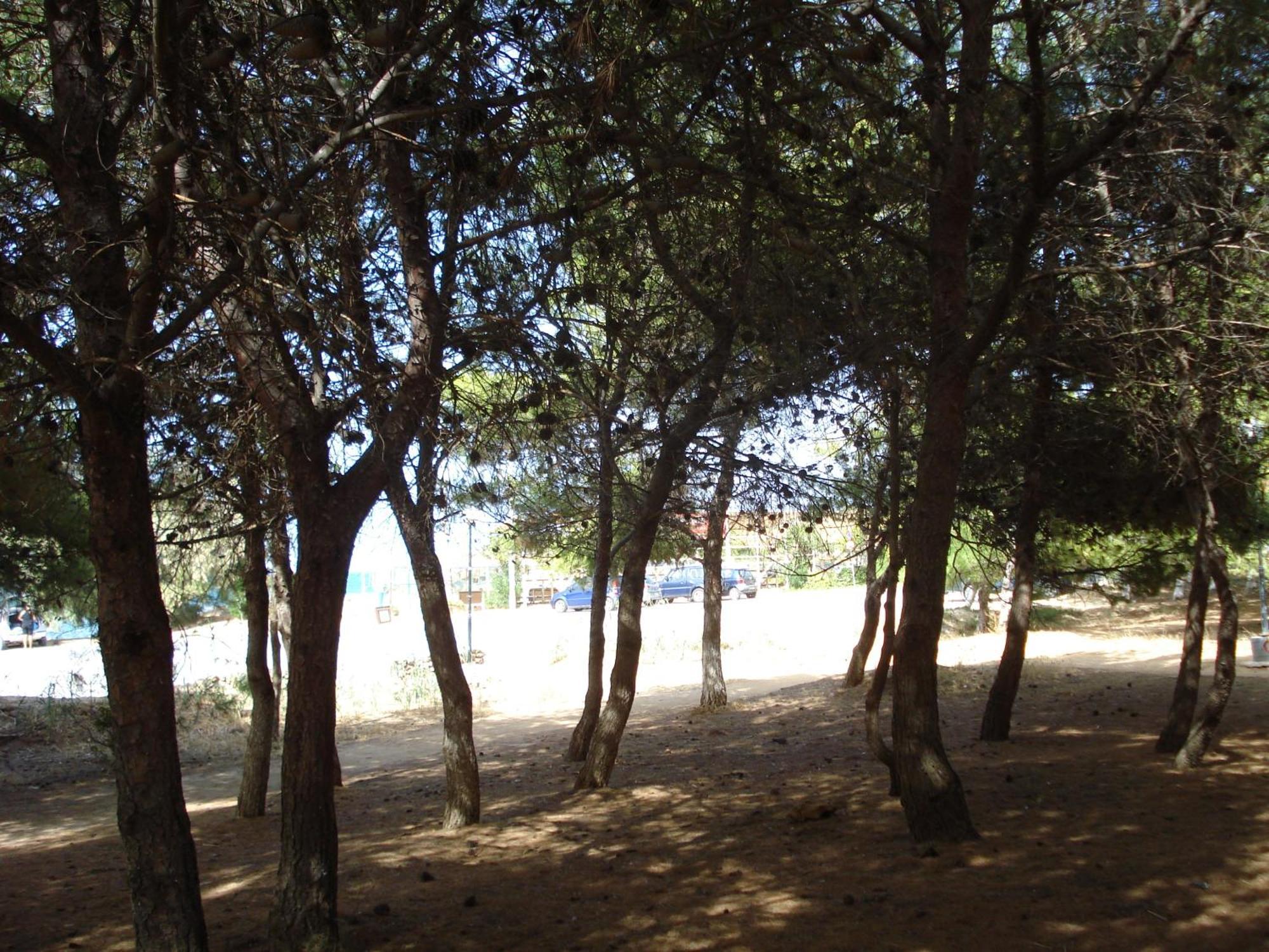 Zinovia Daire Kato Daratso Oda fotoğraf