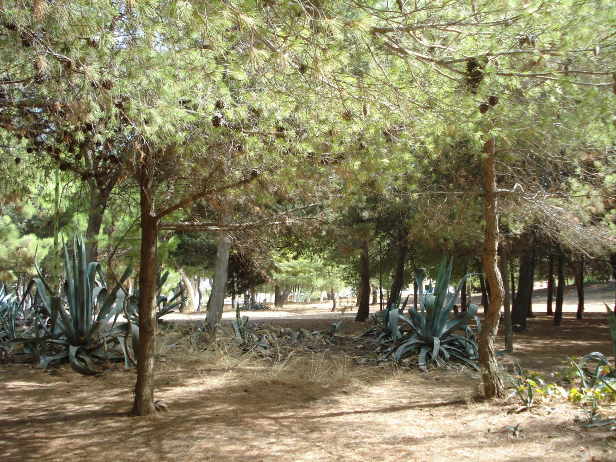 Zinovia Daire Kato Daratso Oda fotoğraf
