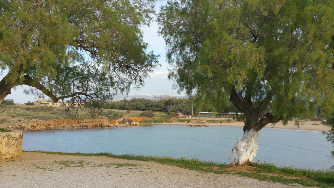 Zinovia Daire Kato Daratso Dış mekan fotoğraf